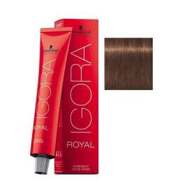Schwarzkopf Igora Royal Colors 6-6 Koyu Kumral Çikolata Saç Boyası 60 ml | Uzun Süre Kalıcı, Canlı ve Doğal Renkler - 