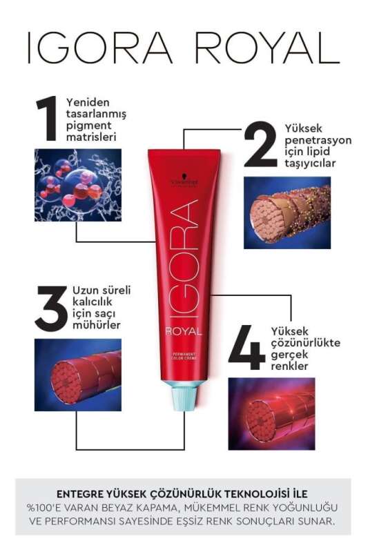 Schwarzkopf Igora Royal Colors 6-63 Koyu Kumral Çikolata Mat Saç Boyası 60 ml | Zengin Çikolata Tonları, Mat ve Doğal Görünüm - 2