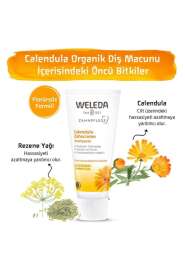 Weleda Calendula Özlü Doğal Diş Macunu 75 ml | Doğal İçerikli Ağız Bakımı - 2